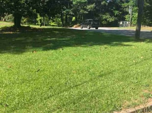 Myracle C.'s Lawn Care service result