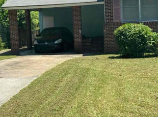 Bush Trimming by Henry Arkwright for Charles J. in Savannah, GA