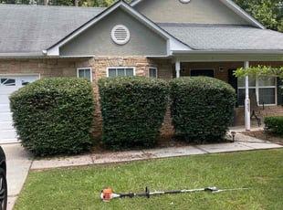 Bush Trimming by Julius Gowans for Constance H. in Conyers, GA