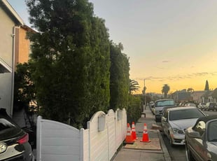 Bush Trimming by William Mendoza for Christine C. in Los Angeles, CA