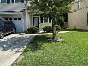 Stewart L.'s Lawn Mowing service result