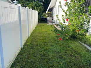 Anadina G.'s Lawn Care service result