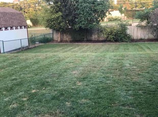 Bob K.'s Lawn Mowing service result