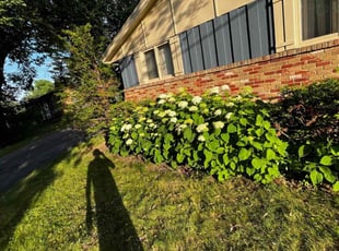 Leaf Removal by huda. kandil for Annie P. in Burnsville, MN