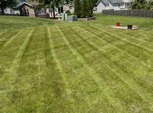 Ted S.'s Grass Cutting service result