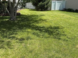 Tarra J.'s Lawn Care service result