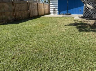 Lisa T.'s Lawn Care service result
