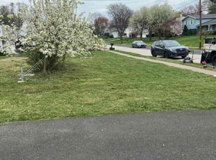 Julia Q.'s Lawn Mowing Service service result