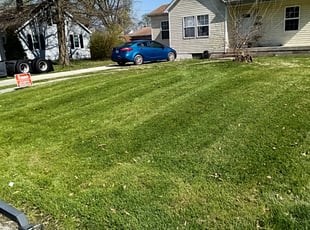 Pam R.'s Yard Cutting service result