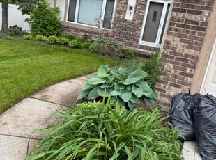 Weeding by Zeke Clark for April S. in Strongsville, OH