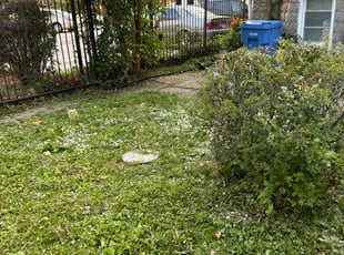Weeding by Jordan Eldridge for Sue V. in Chicago, IL