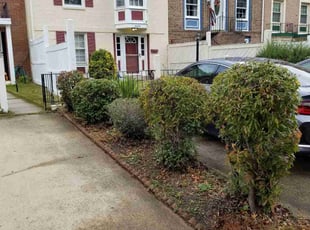 Bush Trimming by Bill Giampa for Falon I. in Alexandria, VA