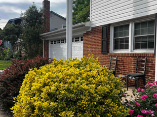 Bush Trimming by Khalim Yularnis for Meggan R. in Springfield, VA