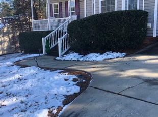 Bush Trimming by Brian Ziegler for Chauntà P. in Clayton, NC