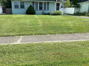 Nathan N.'s Lawn Maintenance service result