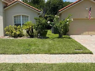 Bush Trimming by Tavares Parks for Justin T. in Mims, FL