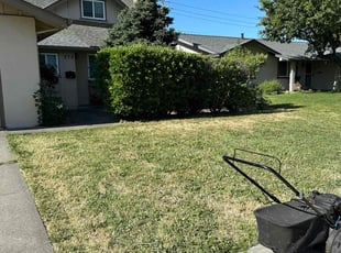 Gary W.'s Lawn Mowing service result