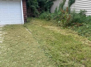 Cleanups by Rachel Lewis for Ali O. in Baltimore, MD