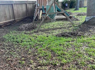 Leaf Removal by Kimberly GonzΓ‘lez for Kenneth M. in League City, TX