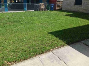 Joyce C.'s Yard Cutting service result