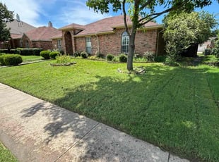 Cynthia G.'s Lawn Service service result
