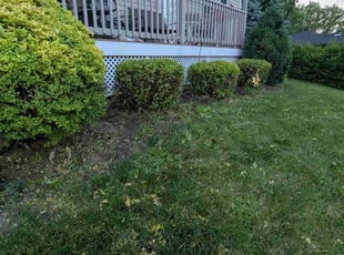Bush Trimming by Elliott Warren for Kenneth R. in Canandaigua, NY
