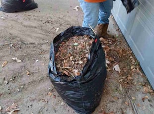 Leaf Removal by Gregory Carter for Andrew J. in Austin, TX