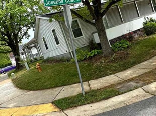 Leaf Removal by Jeremy Oliver for Tami S. in Jessup, MD
