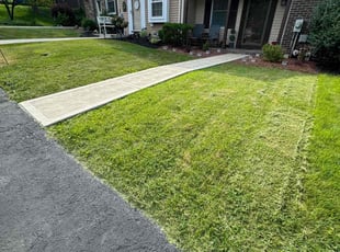 Joel R.'s Lawn Mowing service result