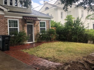 Bush Trimming by Christopher Fonseca for Luke D. in New Orleans, LA
