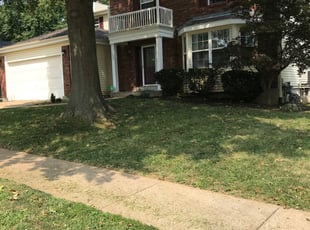 Bush Trimming by Mark Anderson for Carolyn B. in Florissant, MO