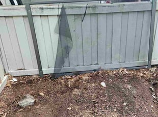 Leaf Removal by Hayden Richard for Fernando G. in Atlanta, GA