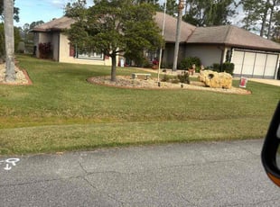 Amado E.'s Lawn Mowing service result