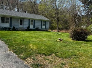 Gabriel C.'s Lawn Care service result