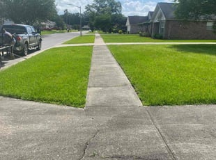 Lora G.'s Lawn Mowing Service service result