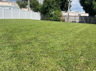 David E.'s Lawn Mowing service result