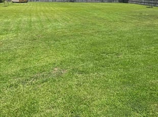 Ron S.'s Lawn Care service result