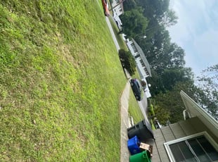 Frances T.'s Lawn Mowing service result