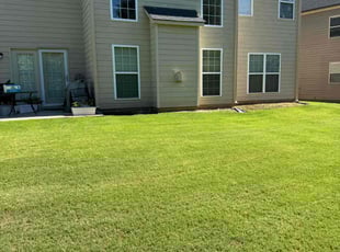 Wilma H.'s Lawn Mowing Service service result