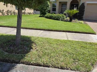 Justin R.'s Grass Cutting service result