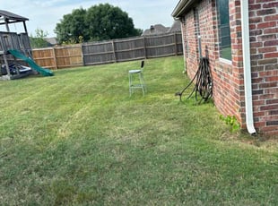 Lam T.'s Grass Cutting service result