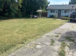 Daniel L.'s Lawn Service service result