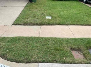Cassie E.'s Grass Cutting service result