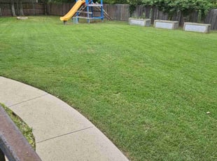 Betina B.'s Lawn Mowing service result