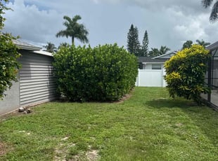 Bush Trimming by David Scheafnocker for Mauricio A. in Naples, FL