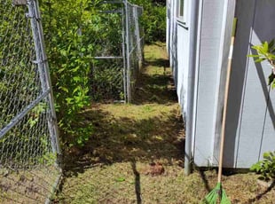 Shannon G.'s Lawn Mowing Service service result