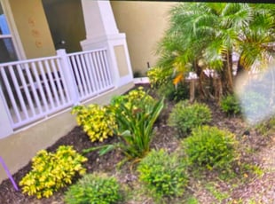 Weeding by Monica Prickett for Daniele B. in Clermont, FL