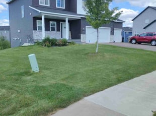 Shelia M.'s Lawn Service service result
