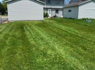 Kristi W.'s Grass Cutting service result