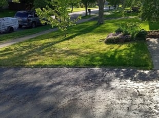 Leaf Removal by Tayzah Davy for Michael B. in Columbus, OH